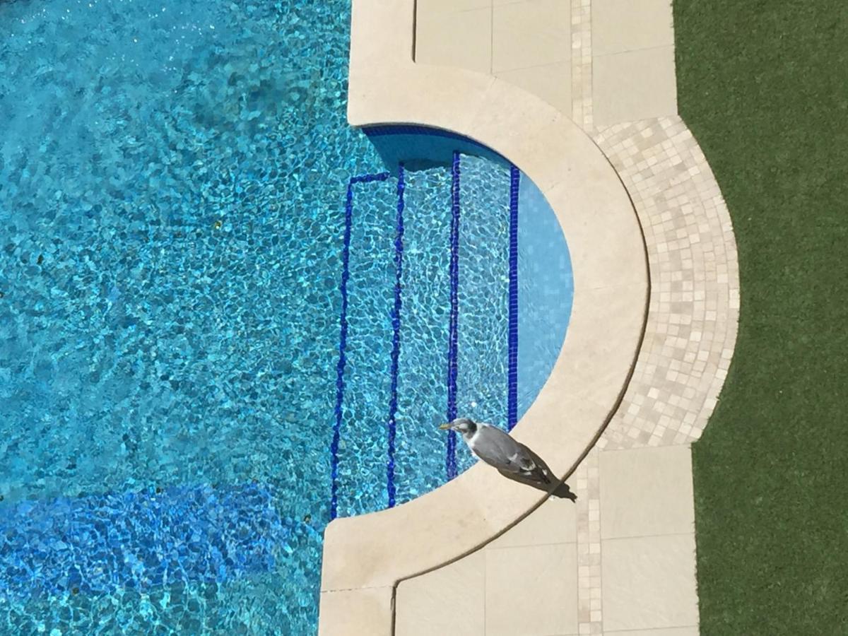 3 Min Walking To Peneco Beach Albufeira , Apart + Pool + Wifi מראה חיצוני תמונה